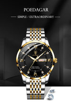 Carregar imagem no visualizador da galeria, Relógio Platinum Elite