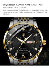 Carregar imagem no visualizador da galeria, Relógio Platinum Elite